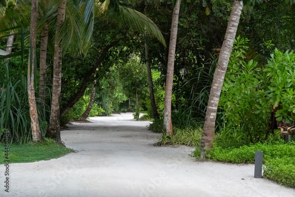 Obraz road in the park