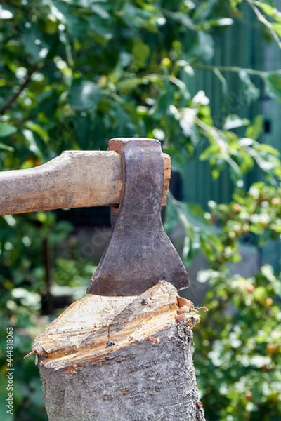 Obraz Ax in a log on the background of green grass.