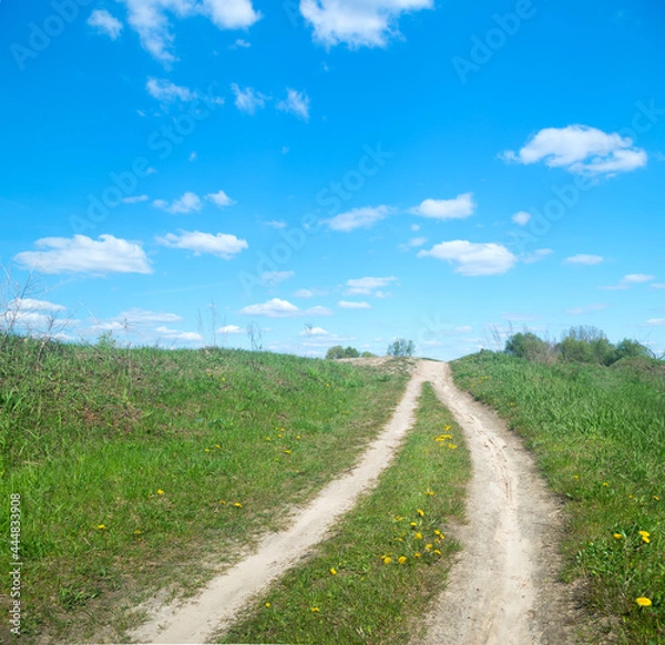 Fototapeta the road that runs through the summer meadow