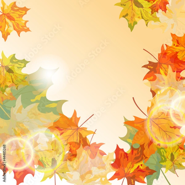 Fototapeta Autumn maple