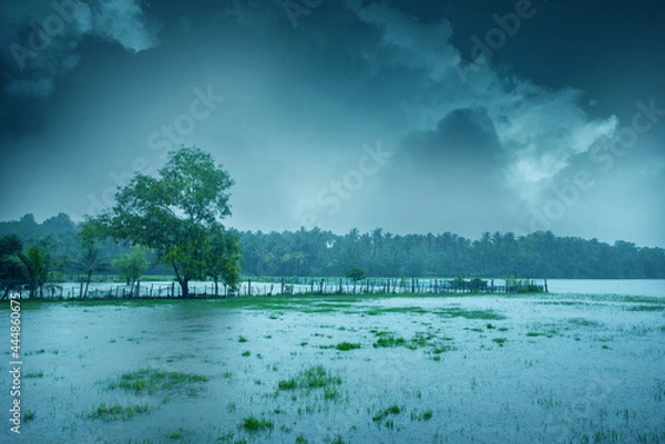 Obraz Beautiful landscape image with heavy rain, Monsoon rain in Kerala India, Beautiful image of rain, Cloudy sky over beautiful flood plain landscape.