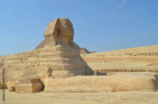 Obraz Sphinx