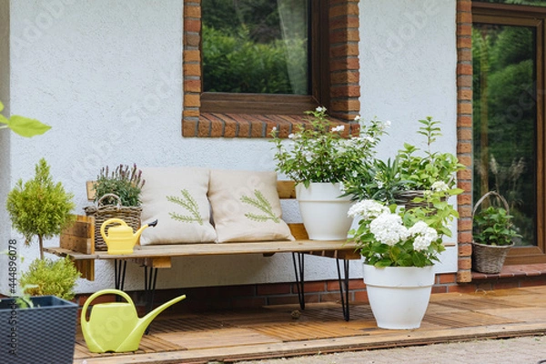 Fototapeta Wooden bench next to a farmhouse in the country. Lots of pots of white hydrangea outside in the garden, next to the house. Flowers in the pot outside in summer. 