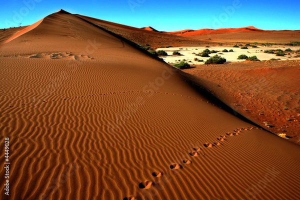 Fototapeta Africa Namibia