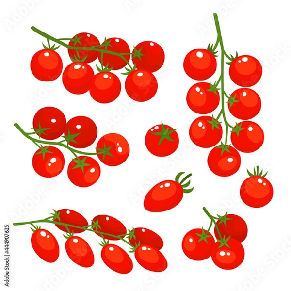 Obraz Vector colorful set of tomatoes cherry isolated on white.