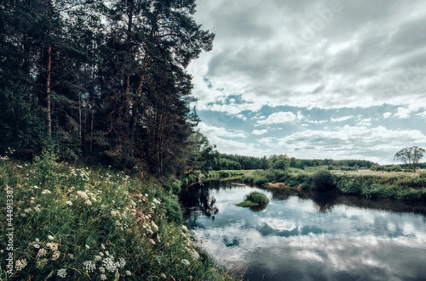 Obraz River in the forest
