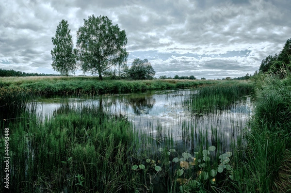Obraz reflection of trees in water