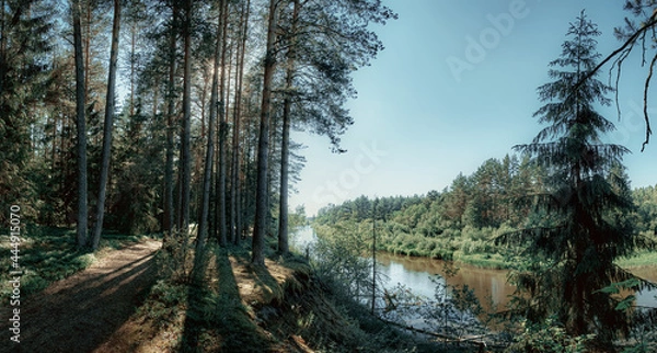 Obraz River in the forest