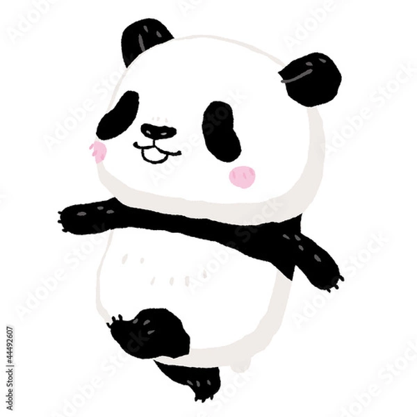 Obraz Panda