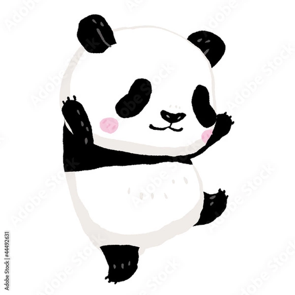 Obraz Panda