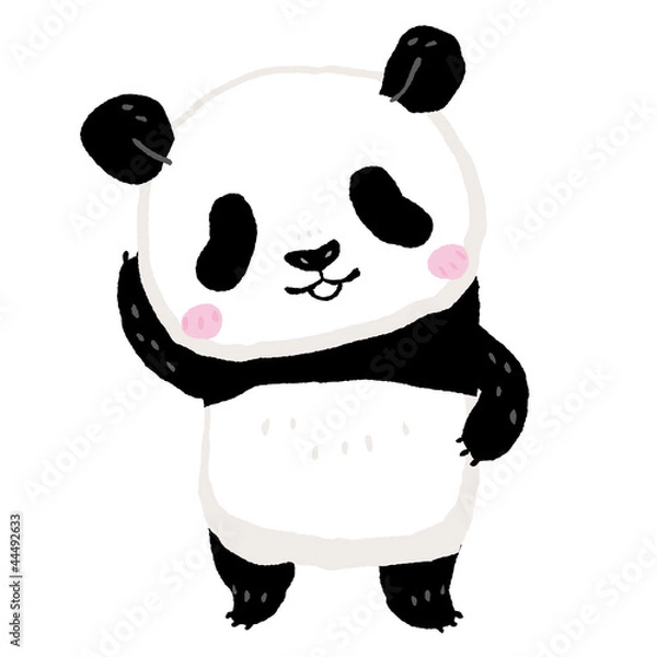 Obraz Panda
