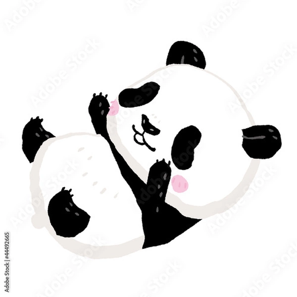 Obraz Panda