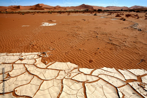 Obraz  Africa Namibia 