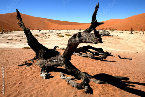 Fototapeta  Africa Namibia 