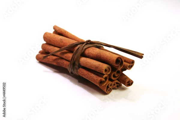 Obraz Batonnet de canelle