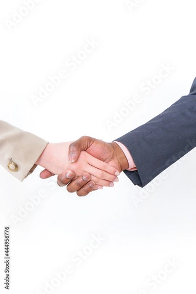 Fototapeta 握手をするビジネスパーソン