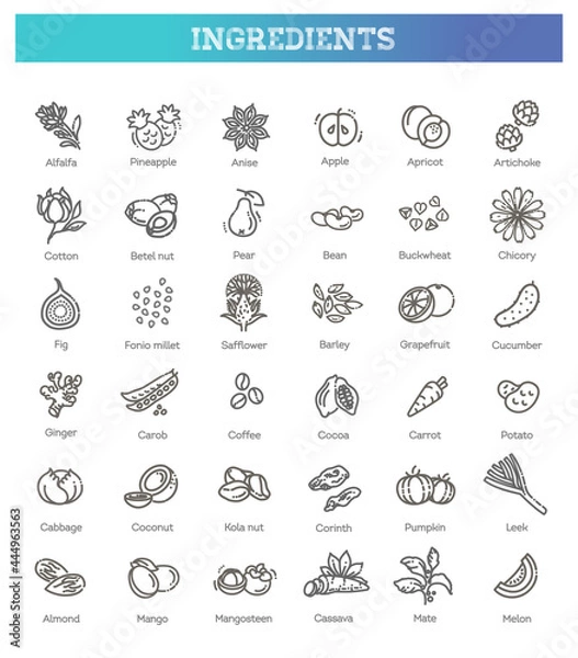 Fototapeta Vegetables and fruit thin line icon set. Vector ingredients