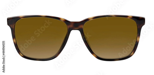 Obraz Brown sunglasses
