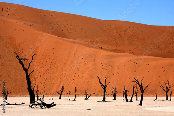 Fototapeta Africa Namibia