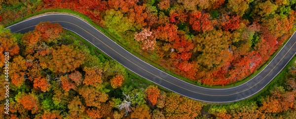 Obraz Aerial top view of mountain road in beautiful forest in autumn. Top view from drone of winding road in woods. Colorful landscape with curved roadway, in the colorful autumn forest in the countryside 