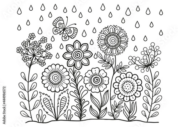 Fototapeta Vector coloring book for adults. Summer wild meadow flowers. Vector isolated elements