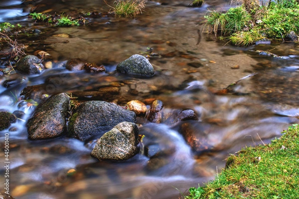 Obraz A stream flows among a beautiful autumn forest.