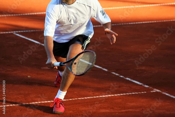 Obraz tenis