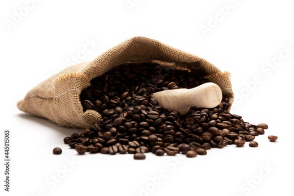 Obraz Coffee spoon on bag isolated on white background