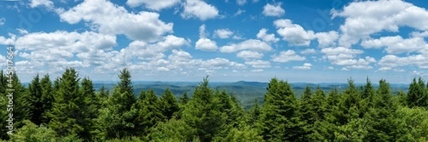 Obraz Spruce Knob Summit