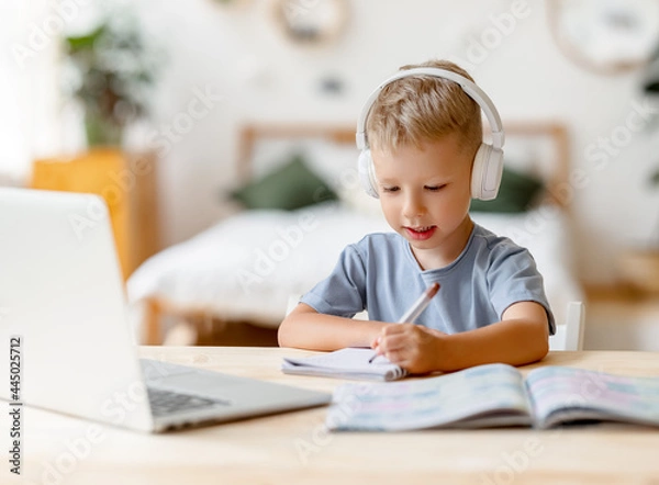 Fototapeta Smart boy during online lesson at home