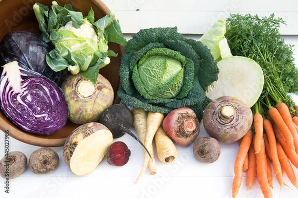 Obraz Kraut & Rüben