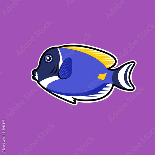 Obraz blue surgeon fish on a purple background. vector illustration
