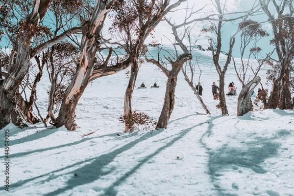 Fototapeta People in winter enjoying the snowy mountains where are practised plenty of activities such as skiing and snowboarding with a clear sky and some clouds on the horizon.