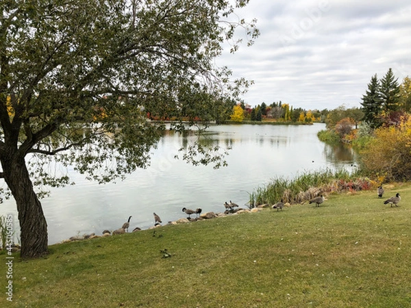 Obraz Autumn Colors around Big Lake