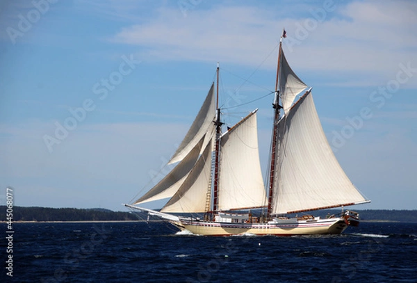 Obraz schooner under sail