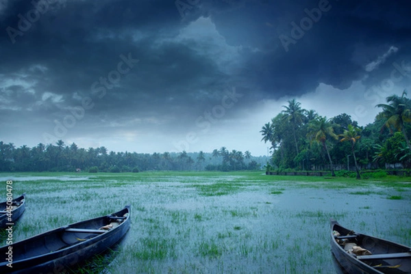 Fototapeta Wooden boats in a paddy field when flooded during heavy rain, Beautiful landscape photography in rainy day, Falling rain while the sky is filled with dark clouds, Monsoon photography in Kerala India