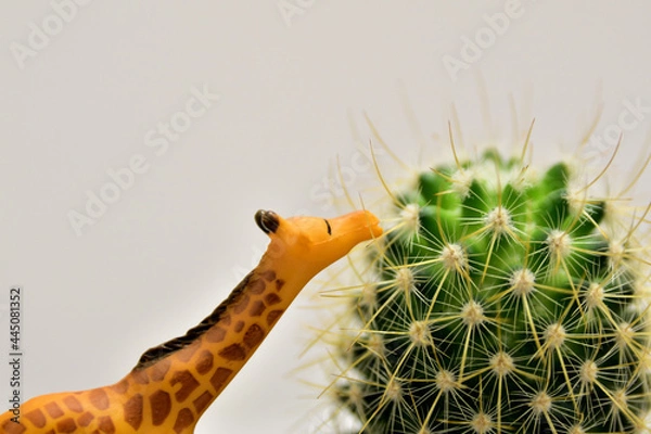 Obraz toy giraffe