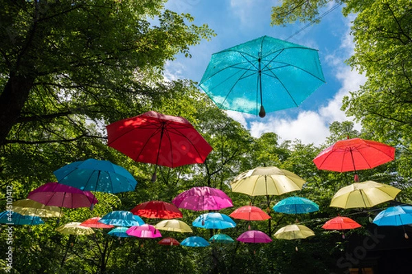 Fototapeta 軽井沢アンブレラスカイ