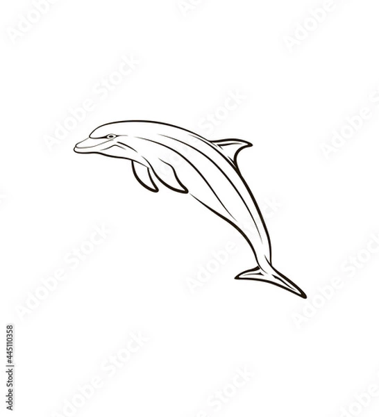 Obraz Stylized creative vector illustration of a dolphin tattooon black and white background
