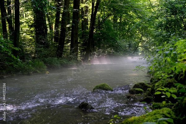 Obraz Mist rising over river at dawn.