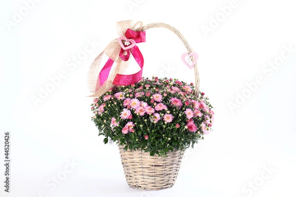 Fototapeta Chrysanthemen