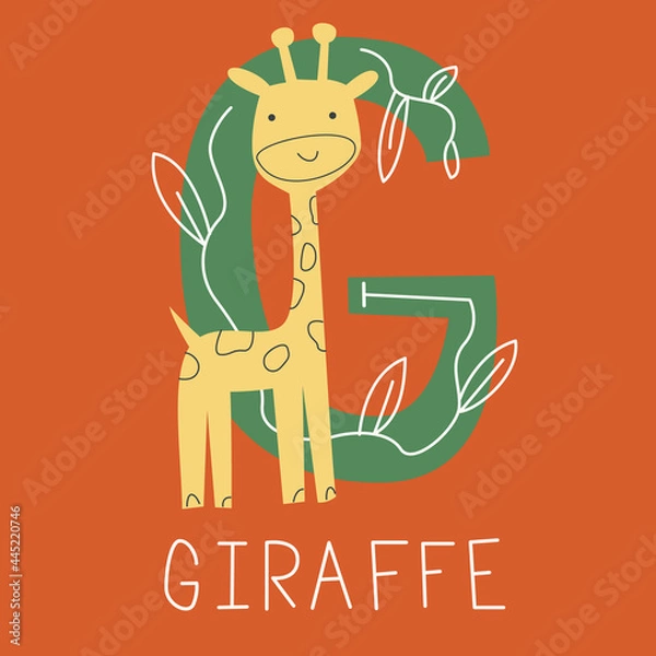 Fototapeta Vector flat illustration for children's alphabet. The letter G and the giraffe on the background.