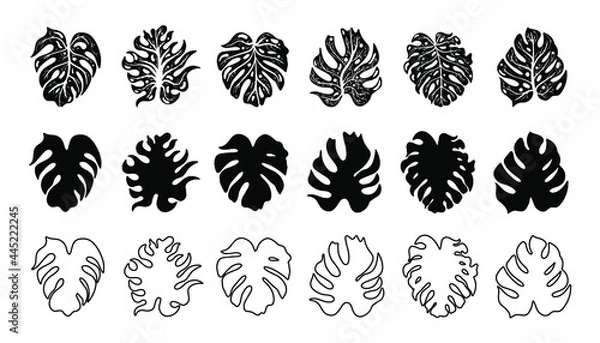 Obraz Set of monstera leaf silhouettes, hand drawn