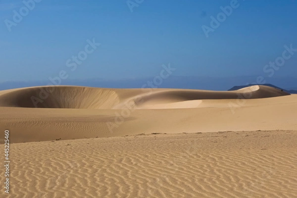 Obraz sand dunes in the desert
