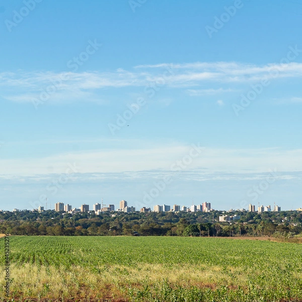 Obraz Landscape with city in the background.