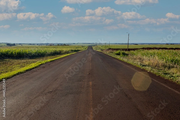 Obraz road in the countryside