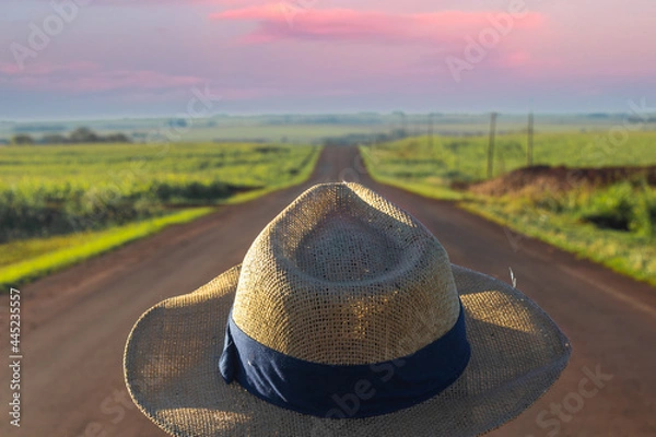 Obraz farmer on the road