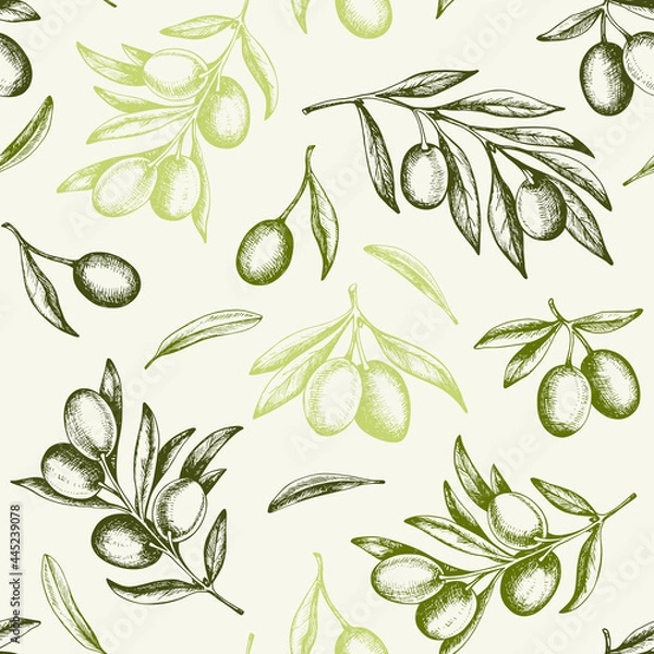 Fototapeta Vintage pattern with green olives and olive branch.