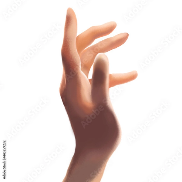 Fototapeta On a white background is a hand