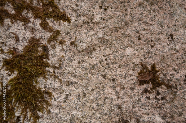 Fototapeta stone background 